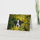 Search for corona cards Pandemic