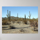 Search for sonoran posters Desert