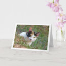 Search for calico cat cards Kitten