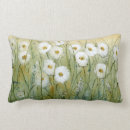 Search for daisy cushions Botanical