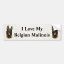 Search for herd dog bumper stickers Pet