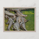 Search for group postcards Wildlife