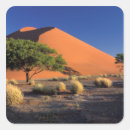 Search for namib stickers Sand