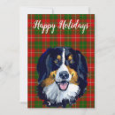 Search for bernese mountain dog christmas cards Dogs