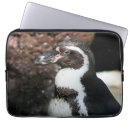 Search for penguin electronics Animal
