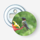 Search for open photography Nature