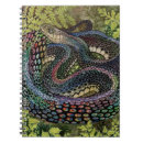 Search for snake skin notebooks Scales