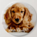 Search for cocker badges Spaniel