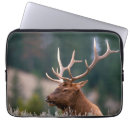 Search for bull elk electronics Antlers