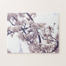 Search for plum photography Blossom