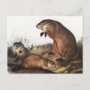 Search for antique mouse postcards Vintage