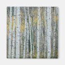 Search for tree trunks magnets Forest