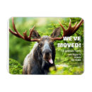 Search for moving magnets New home