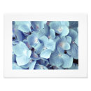 Search for soft blue art Digital