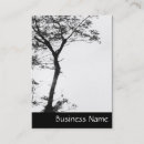 Search for balance photography Nature