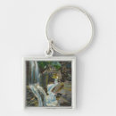 Search for glen key rings Falls
