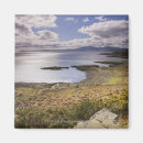 Search for argyle magnets Blue