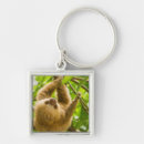 Search for sloths square key rings Wildlife