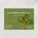 Search for frog business cards Unique