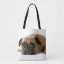 Search for pug bags Adorable