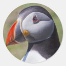 Search for puffin stickers Animals