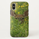 Search for white tailed deer iphone cases Nature