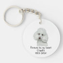 Search for dog loss sympathy key rings Pet