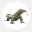 Search for komodo stickers Lizard