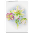 Search for hellebore cards Watercolor