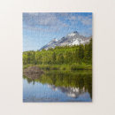 Search for beaver puzzles Landscape