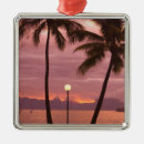 Search for tahiti christmas tree decorations French polynesia