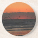 Search for fly coasters Ocean