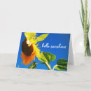Search for sunshine flower cards Photography