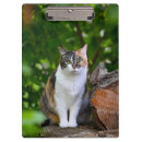 Search for cat clipboards Tree