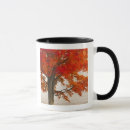 Search for davis mugs Landscape