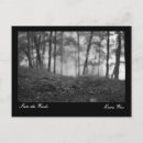 Search for forest path photography Black and white
