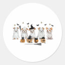 Search for cats dogs stickers Ghost