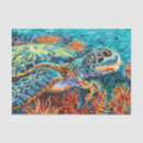 Search for sea turtle tissue paper Teal
