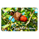 Search for oak tree magnets Acorn