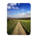 Search for summer scene magnets England