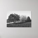 Search for black and white landscape canvas prints Beautiful
