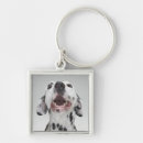 Search for dalmatian key rings Animals