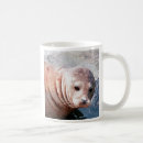 Search for seal mugs Animals