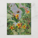 Search for shrubs postcards Nature