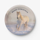 Search for beautiful christmas paper plates Winter