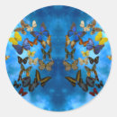 Search for butterflies fly stickers Blue