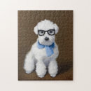 Search for dog with glasses puzzles Puppy