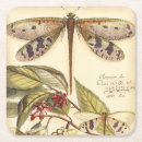Search for dragonflies coasters Cream