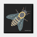 Search for honeybee magnets Insect
