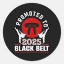 Search for karate belt stickers 80s